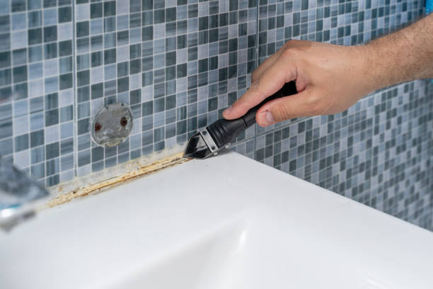 Best Localized Mold Remediation (e.g., coastal areas, humid climates) in Pooler, GA