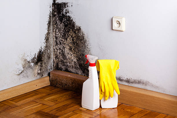 Best Residential Mold Remediation in Pooler, GA